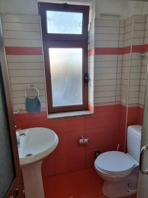 Aunt'S Place Shkodër Dış mekan fotoğraf